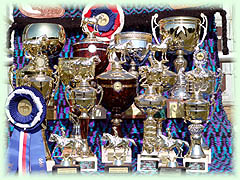 Sega Ranč, trofeje ze závodů